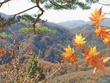 湛江霞山最新兼职招聘